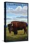 Yellowknife, NW Territories, Canada, Bison Scene-Lantern Press-Stretched Canvas