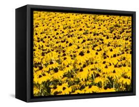 Yellowness-John Gusky-Framed Stretched Canvas