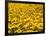 Yellowness-John Gusky-Framed Photographic Print