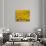 Yellowness-John Gusky-Photographic Print displayed on a wall