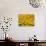 Yellowness-John Gusky-Photographic Print displayed on a wall