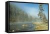 Yellowstone 01-Gordon Semmens-Framed Stretched Canvas