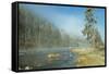 Yellowstone 01-Gordon Semmens-Framed Stretched Canvas