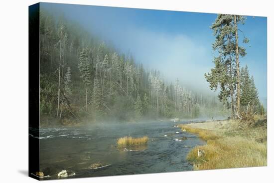 Yellowstone 01-Gordon Semmens-Stretched Canvas