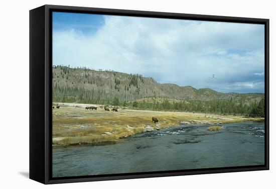 Yellowstone 02-Gordon Semmens-Framed Stretched Canvas