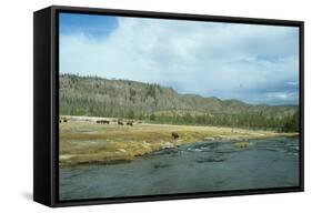 Yellowstone 02-Gordon Semmens-Framed Stretched Canvas