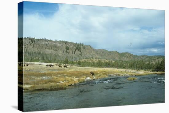 Yellowstone 02-Gordon Semmens-Stretched Canvas