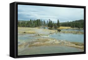 Yellowstone 03-Gordon Semmens-Framed Stretched Canvas