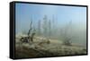 Yellowstone 04-Gordon Semmens-Framed Stretched Canvas