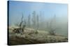 Yellowstone 04-Gordon Semmens-Stretched Canvas