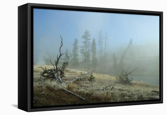 Yellowstone 04-Gordon Semmens-Framed Stretched Canvas