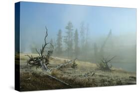 Yellowstone 04-Gordon Semmens-Stretched Canvas