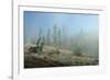 Yellowstone 04-Gordon Semmens-Framed Photographic Print