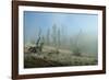 Yellowstone 04-Gordon Semmens-Framed Photographic Print