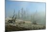 Yellowstone 04-Gordon Semmens-Mounted Photographic Print