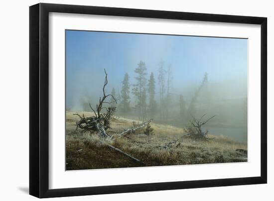 Yellowstone 04-Gordon Semmens-Framed Photographic Print