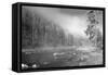 Yellowstone 1-Gordon Semmens-Framed Stretched Canvas