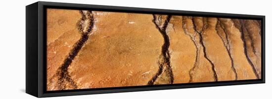 Yellowstone Bacteria and mineral traces such as iron oxide colour thermal run offs - Yellowstone-David Hosking-Framed Stretched Canvas