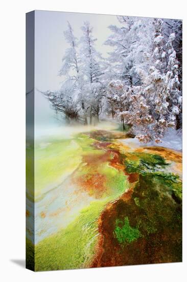 Yellowstone Basin-Howard Ruby-Stretched Canvas