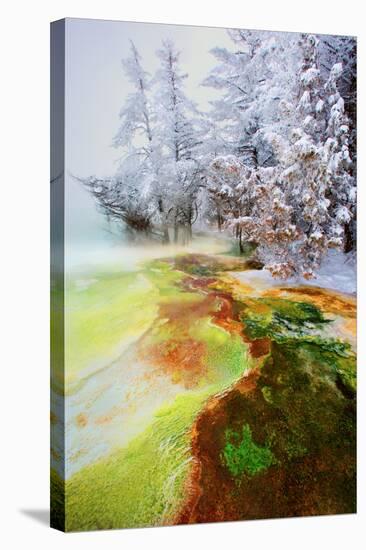 Yellowstone Basin-Howard Ruby-Stretched Canvas