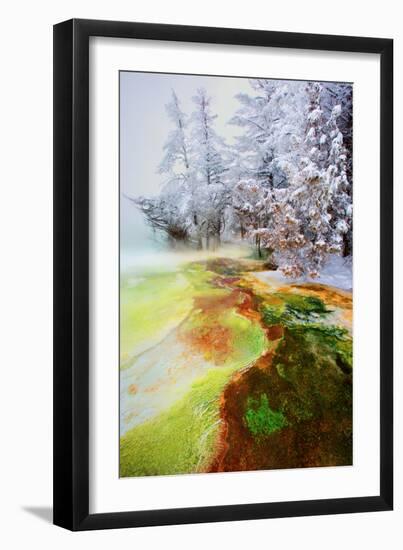 Yellowstone Basin-Howard Ruby-Framed Premium Photographic Print