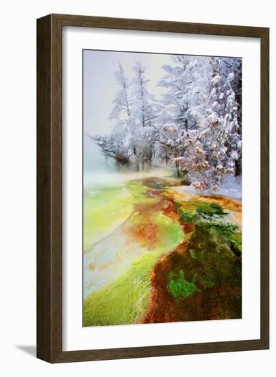 Yellowstone Basin-Howard Ruby-Framed Photographic Print