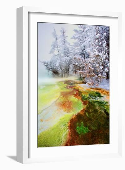 Yellowstone Basin-Howard Ruby-Framed Photographic Print