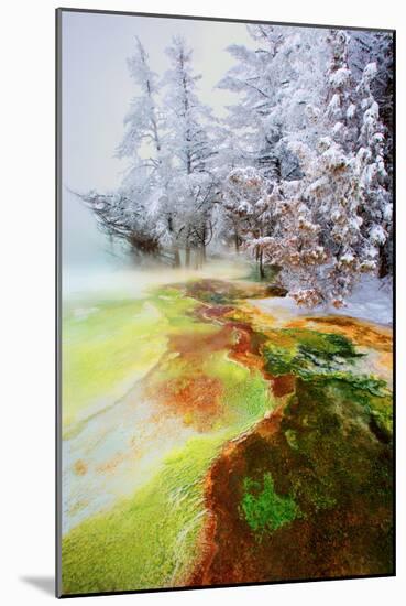 Yellowstone Basin-Howard Ruby-Mounted Photographic Print