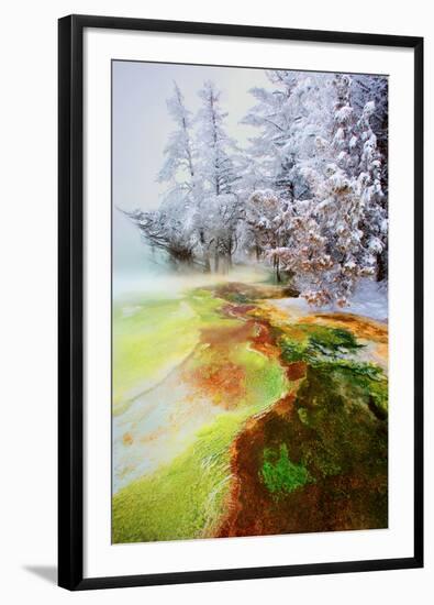 Yellowstone Basin-Howard Ruby-Framed Photographic Print