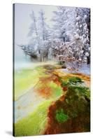 Yellowstone Basin-Howard Ruby-Stretched Canvas