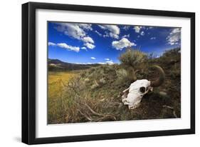 Yellowstone Bison Skull-Jason Savage-Framed Giclee Print