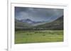 Yellowstone Bison with Rainbow-Galloimages Online-Framed Photographic Print