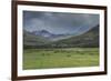 Yellowstone Bison with Rainbow-Galloimages Online-Framed Photographic Print