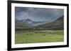 Yellowstone Bison with Rainbow-Galloimages Online-Framed Photographic Print