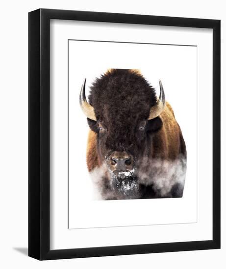 Yellowstone Bison-Jason Savage-Framed Art Print