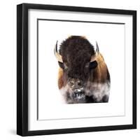 Yellowstone Bison-Jason Savage-Framed Giclee Print