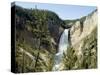 Yellowstone Canyon, Yellowstone National Park, Unesco World Heritage Site, Wyoming, USA-Ethel Davies-Stretched Canvas