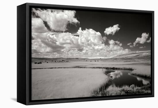 Yellowstone Creek and Clouds I-George Johnson-Framed Stretched Canvas