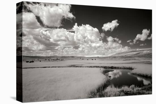 Yellowstone Creek and Clouds I-George Johnson-Stretched Canvas