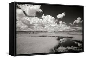 Yellowstone Creek and Clouds I-George Johnson-Framed Stretched Canvas