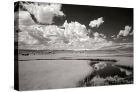 Yellowstone Creek and Clouds I-George Johnson-Stretched Canvas