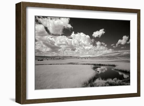 Yellowstone Creek and Clouds I-George Johnson-Framed Photographic Print