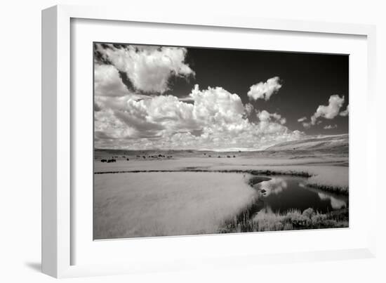 Yellowstone Creek and Clouds I-George Johnson-Framed Photographic Print