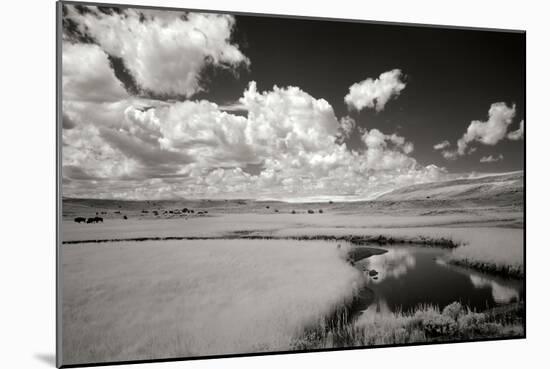 Yellowstone Creek and Clouds I-George Johnson-Mounted Photographic Print