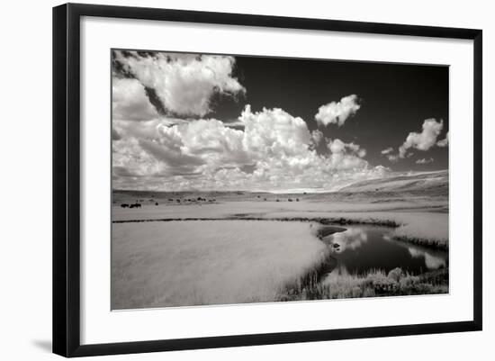 Yellowstone Creek and Clouds I-George Johnson-Framed Photographic Print