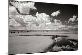 Yellowstone Creek and Clouds I-George Johnson-Mounted Photographic Print
