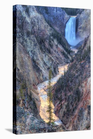 Yellowstone Falls and Sunset Light Reflected-Vincent James-Stretched Canvas