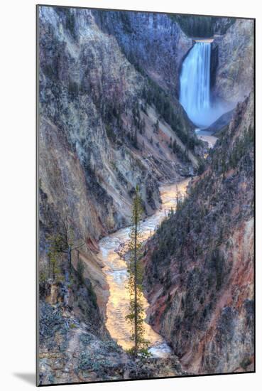 Yellowstone Falls and Sunset Light Reflected-Vincent James-Mounted Photographic Print