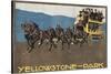 Yellowstone Horse-Drawn Charabanc-null-Stretched Canvas