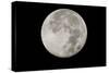 Yellowstone Late Summer Full Moon-Joe McDonald-Stretched Canvas